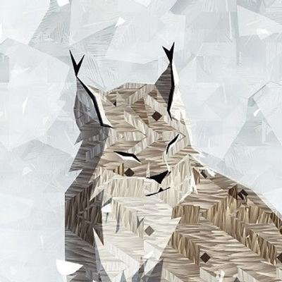 LynxounetFR